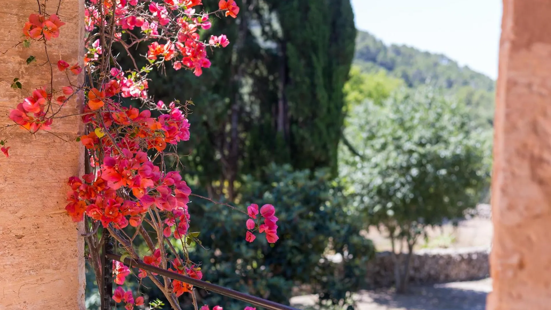 Fangar Agroturismo Campanet 0*,