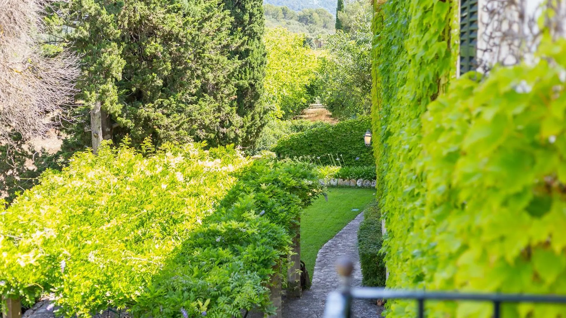 Farm stay Fangar Agroturismo Campanet