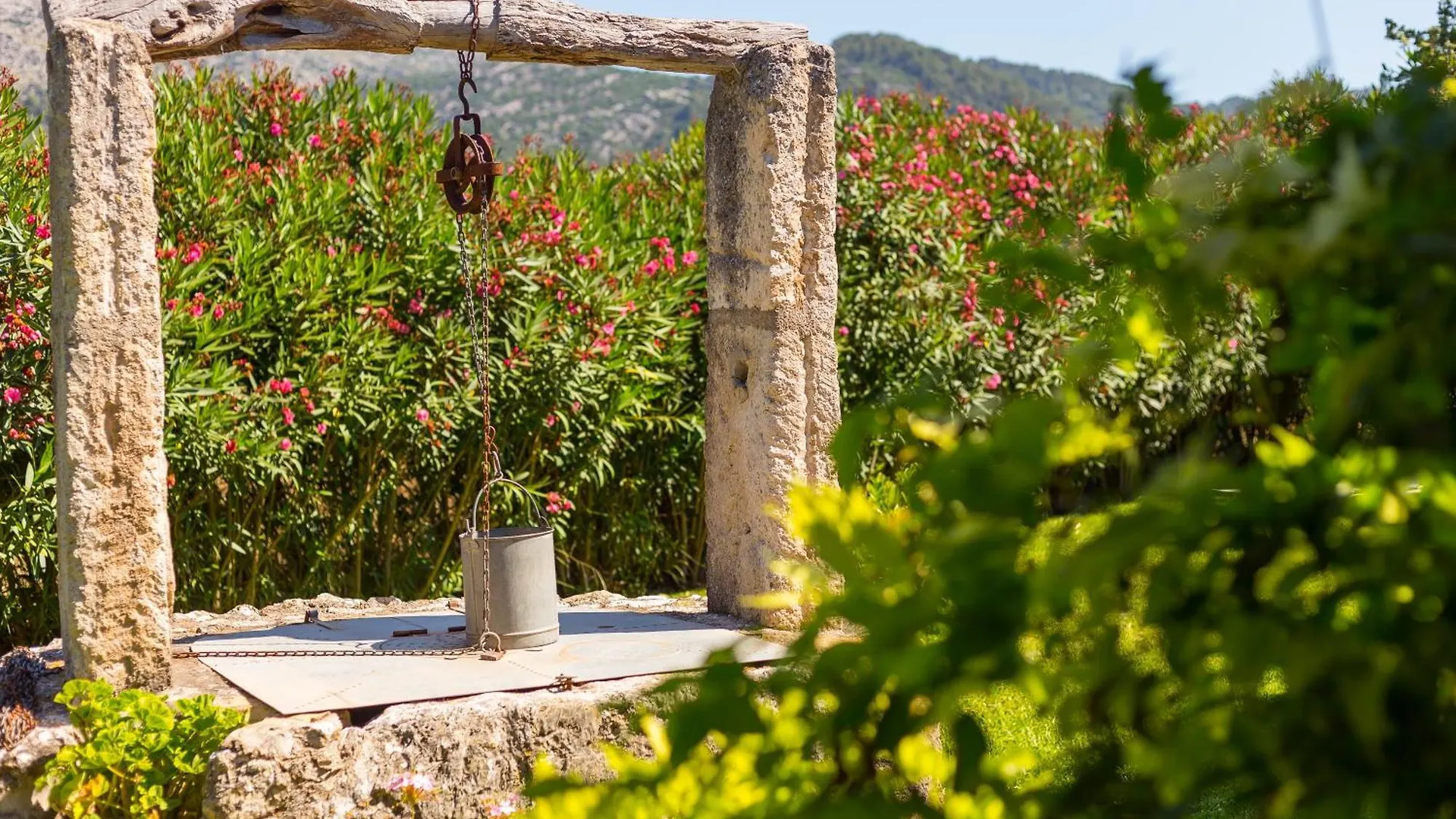 Farm stay Fangar Agroturismo Campanet