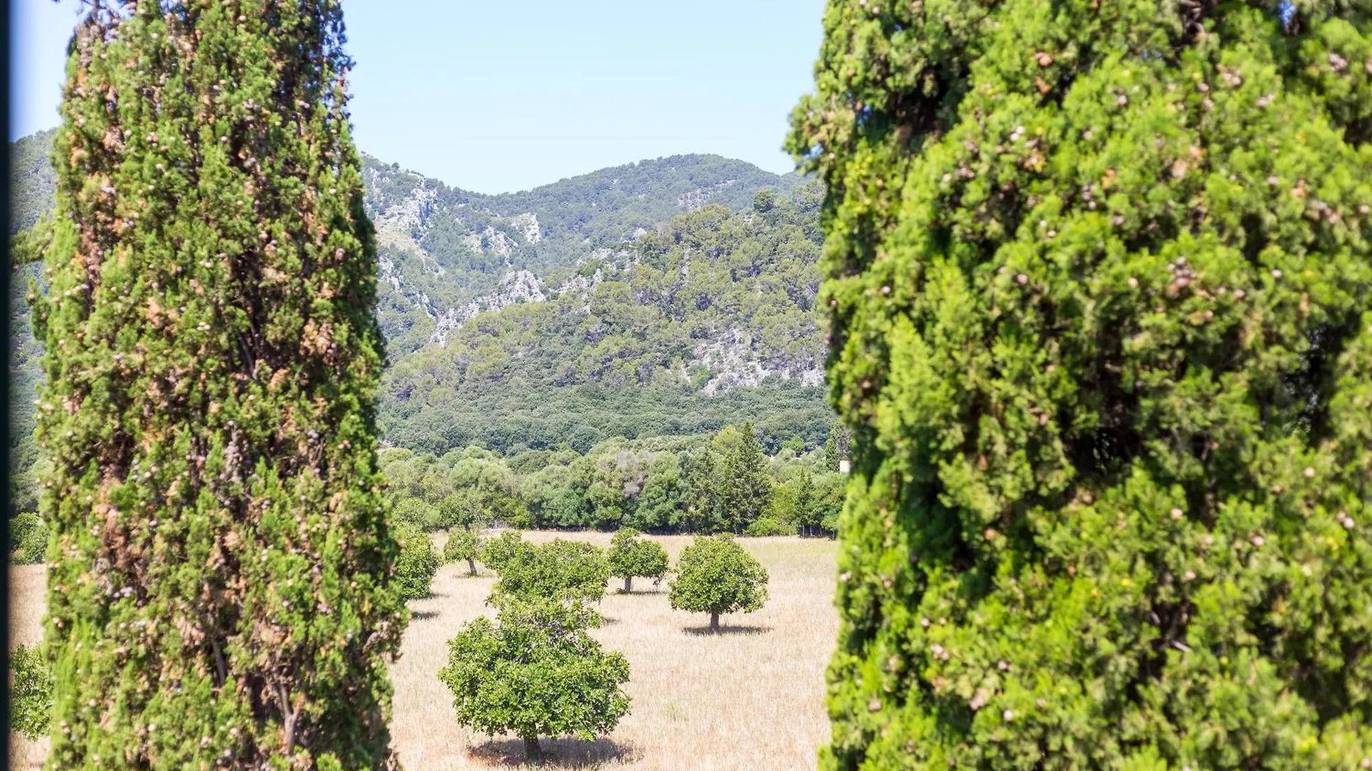Farm stay Fangar Agroturismo Campanet