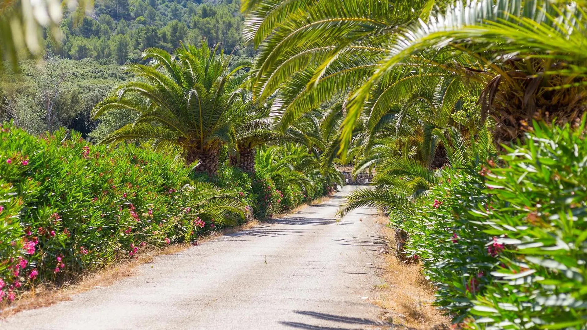 Fangar Agroturismo Campanet