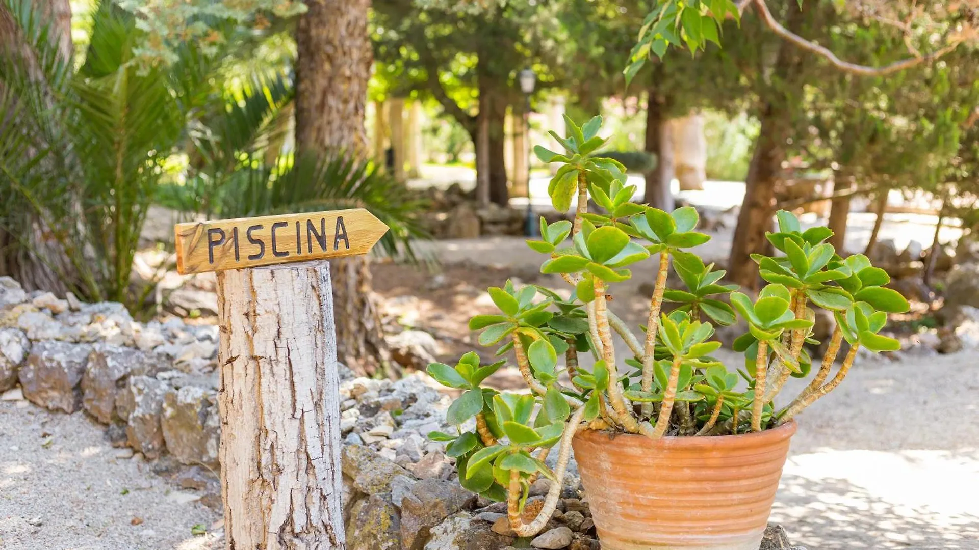 Farm stay Fangar Agroturismo Campanet
