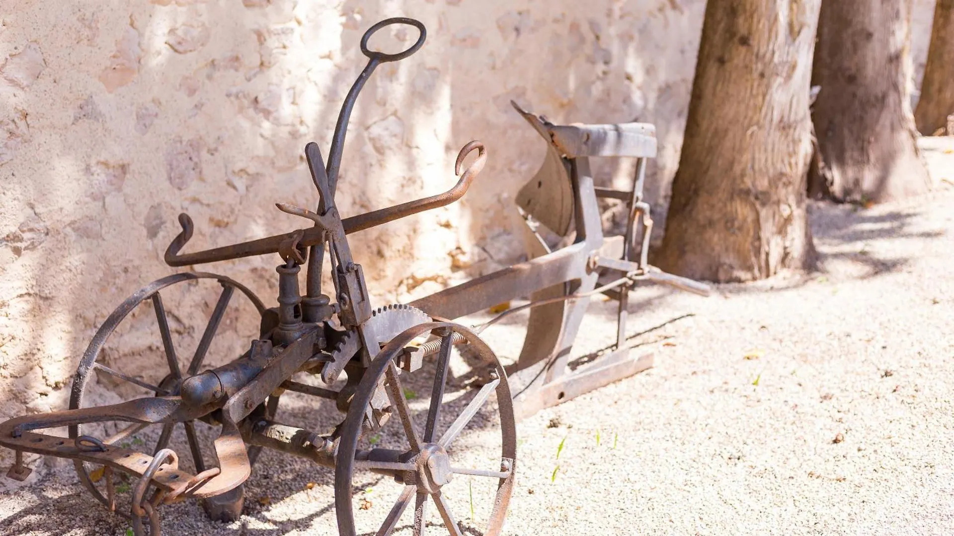 Farm stay Fangar Agroturismo Campanet